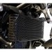 Oil Cooler Guard by Evotech Performance BMW / R nineT Scrambler / 2022