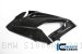 Carbon Fiber Left Side Fairing Panel by Ilmberger Carbon BMW / S1000RR / 2017