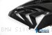 Carbon Fiber Right Side Fairing Panel by Ilmberger Carbon BMW / S1000RR / 2015