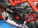 Water Pump Guard with Carbon Inlay by Ducabike Ducati / Diavel / 2015