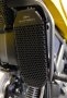 Oil Cooler Guard by Evotech Performance Ducati / Scrambler 800 Cafe Racer / 2019