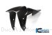 Carbon Fiber Front Fender by Ilmberger Carbon Ducati / Monster 1200 / 2014