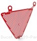 Lower Radiator Guard by Ducabike Ducati / 1199 Panigale / 2012