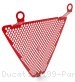 Lower Radiator Guard by Ducabike Ducati / 1199 Panigale / 2012