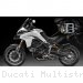 Canister Protection by Ducabike Ducati / Multistrada 950 / 2017