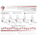  Ducati / Monster 937 SP / 2025