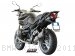 Oval Exhaust by SC-Project BMW / R1200R / 2011