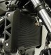 Radiator Guard by Evotech Performance Suzuki / SV650 / 2017