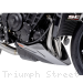  Triumph / Street Triple Moto2 765 / 2024